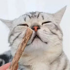 Bâtonnets de matatabi naturels pour chat