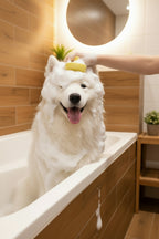 Brosse de bain et massage pour chien et chat avec distributeur de shampoing