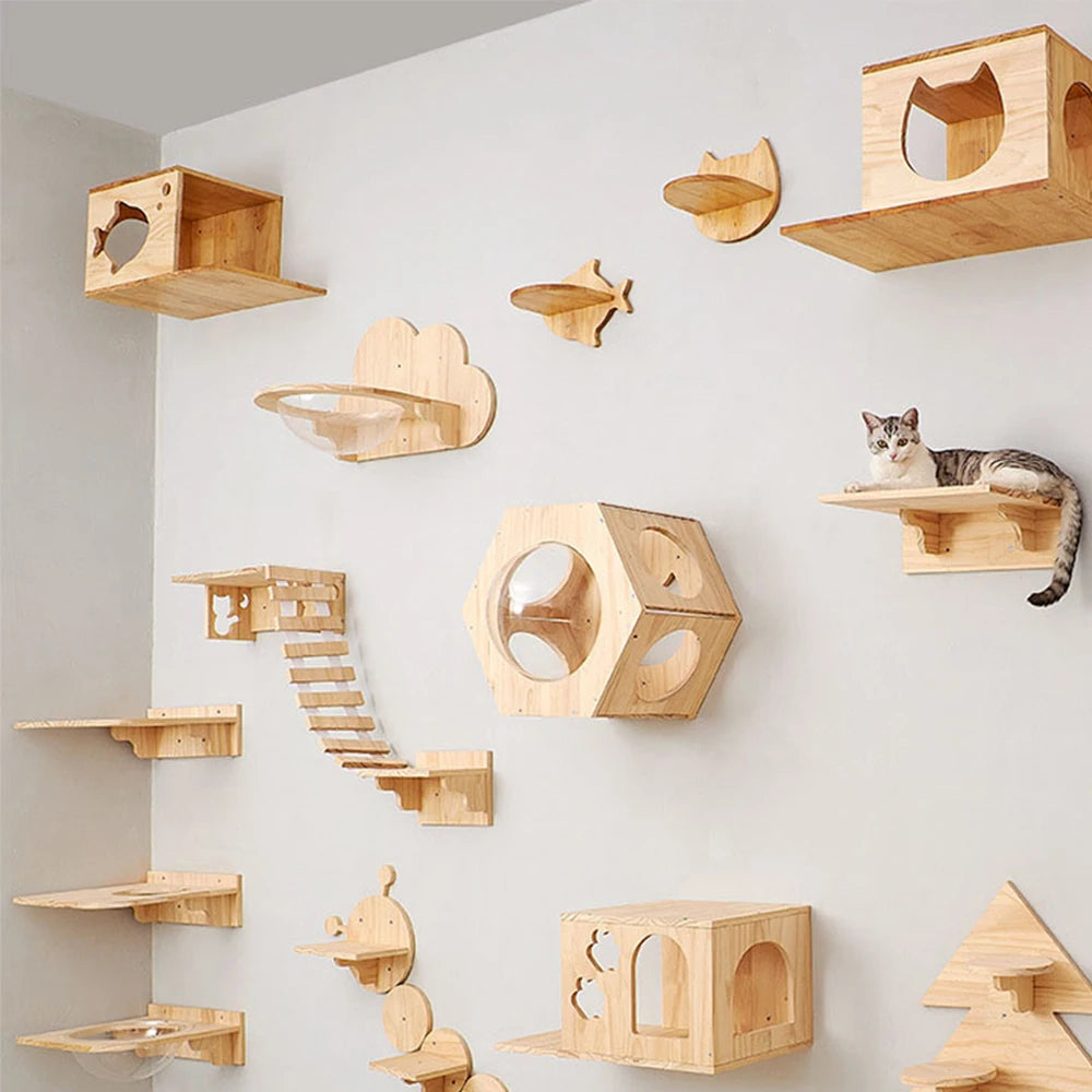 Wandregal für Katzen
