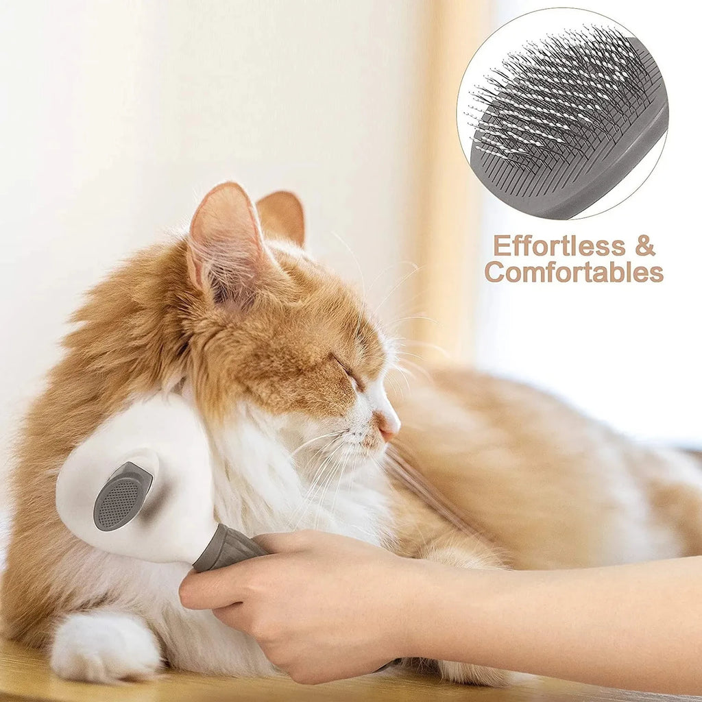 Brosse nettoyante pour poils