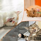 Entdecker-Set mit 6 Kauhölzern für Katzen
