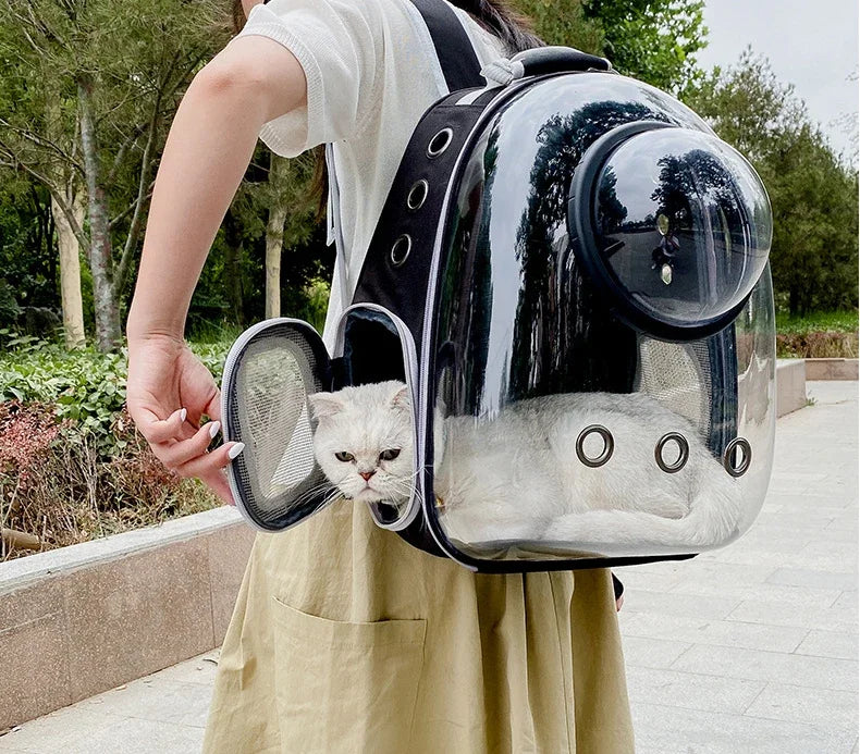 Sac à dos bulle transparent pour chat et petit chien