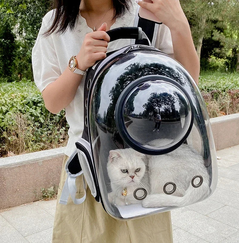 Sac à dos bulle transparent pour chat et petit chien
