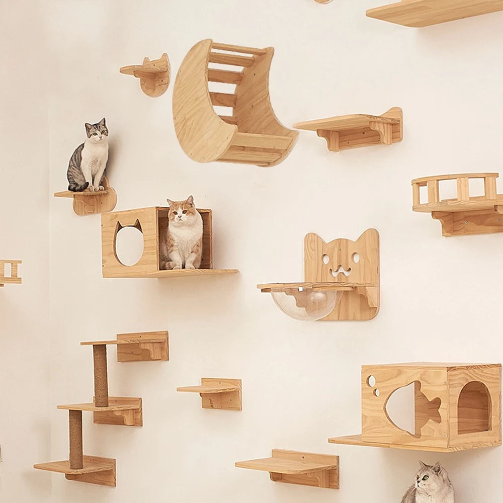 Wandregal für Katzen