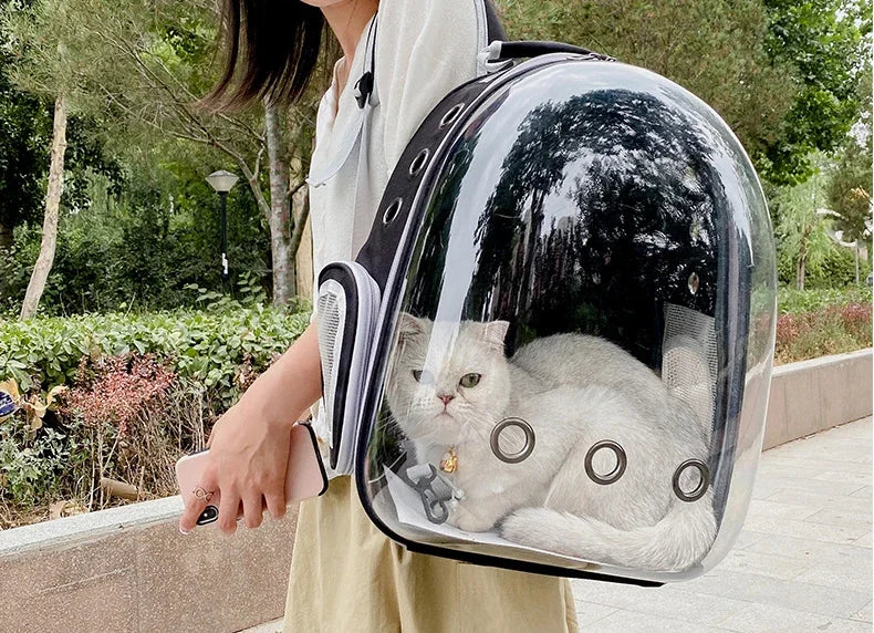 Sac à dos bulle transparent pour chat et petit chien