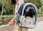 Sac à dos bulle transparent pour chat et petit chien