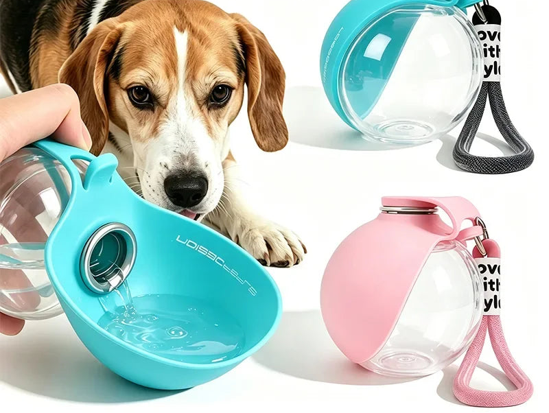 Trinkflasche für unterwegs mit integriertem Napf