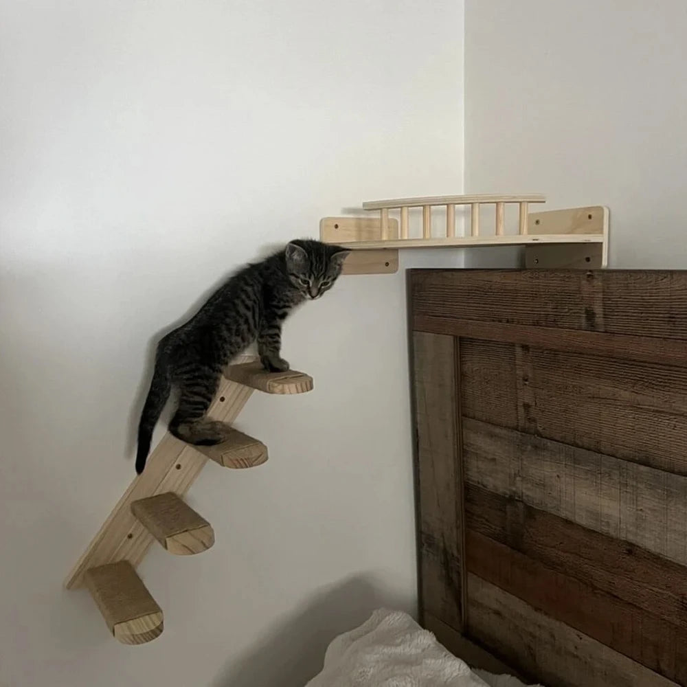 Wandregal für Katzen
