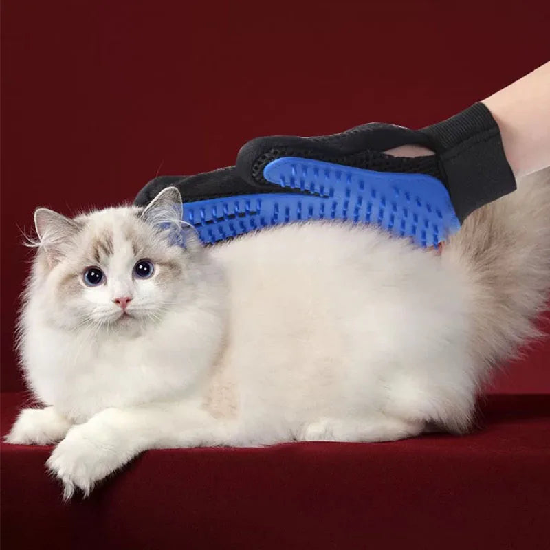 Gant de Toilettage pour chien et chat