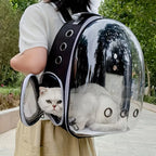 Weltraumkapsel-Rucksack für Katzen und kleine Hunde