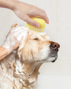 Brosse de bain et massage pour chien et chat avec distributeur de shampoing