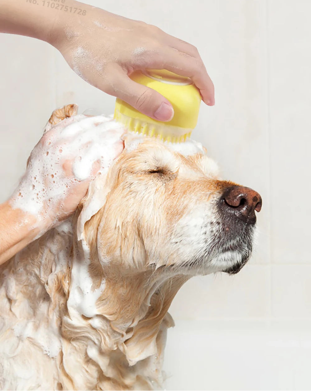 Brosse de bain et massage pour chien et chat avec distributeur de shampoing