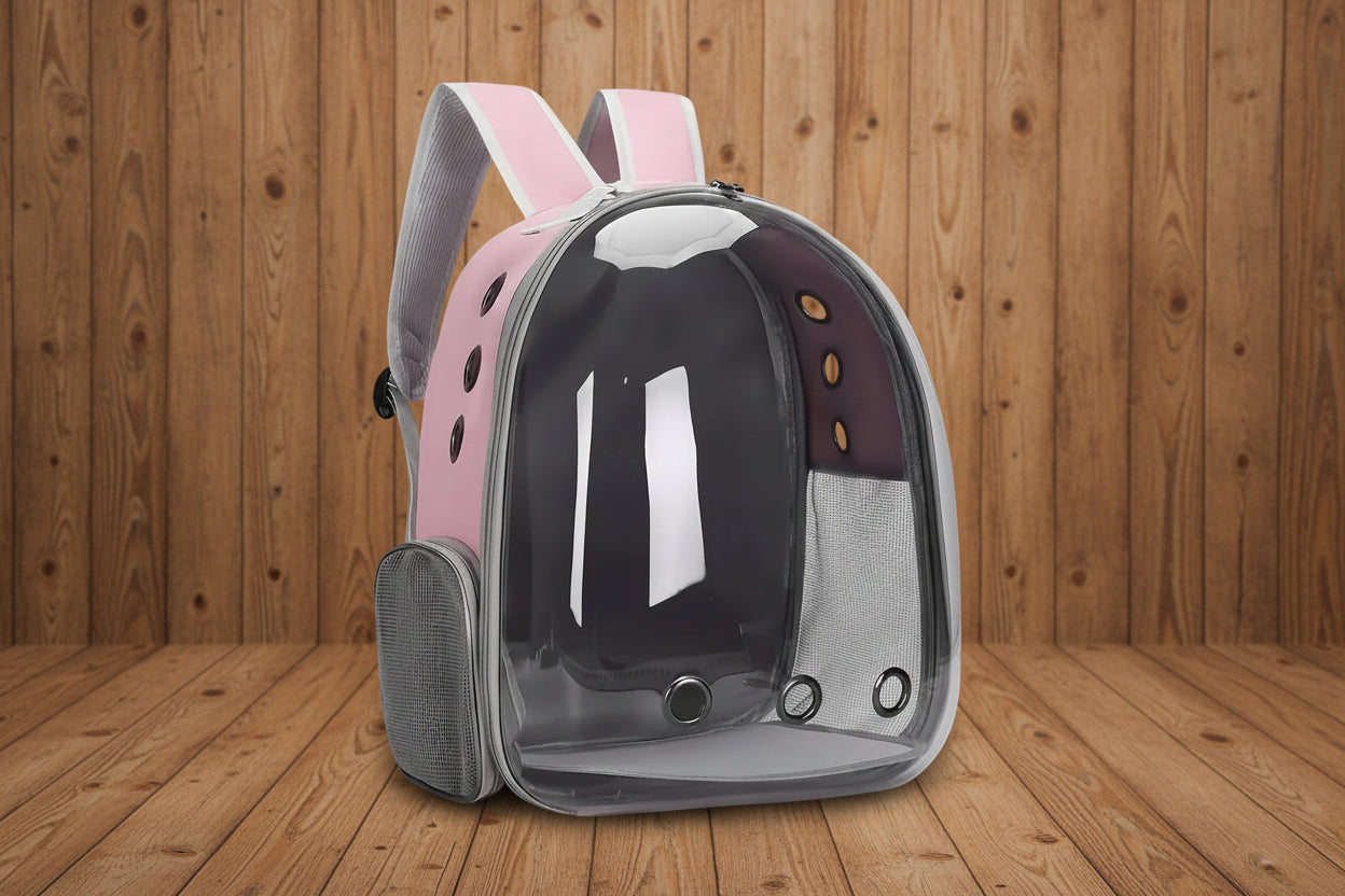 Chat installé dans le sac à dos capsule et regardant par le hublot