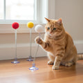 Balle ressort élastique pour chat