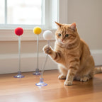 Balle ressort élastique pour chat