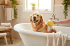 Brosse de bain et massage pour chien et chat avec distributeur de shampoing