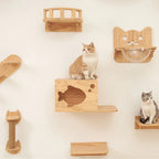 Wandregal für Katzen