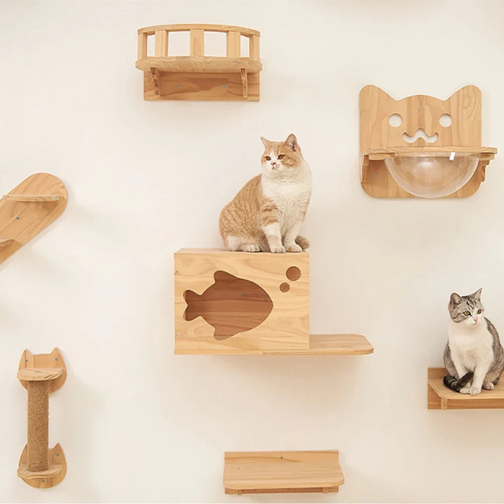 Chat installé sur une étagère murale en bois