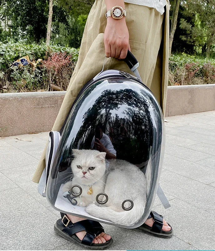 Sac à dos bulle transparent pour chat et petit chien
