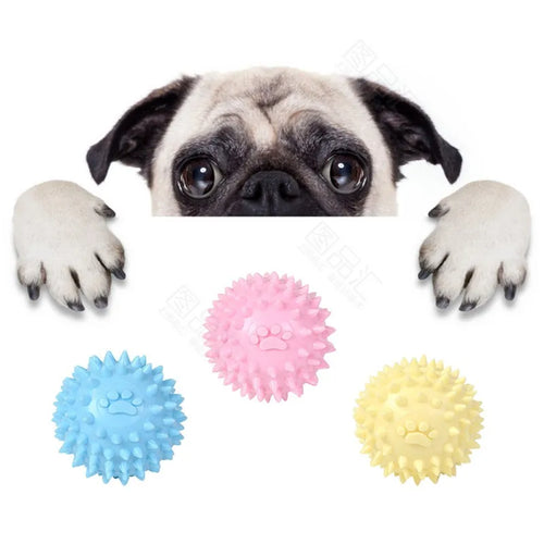 Chien mâchant la balle en caoutchouc à relief d'empreintes