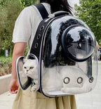 Sac à dos bulle transparent pour chat et petit chien