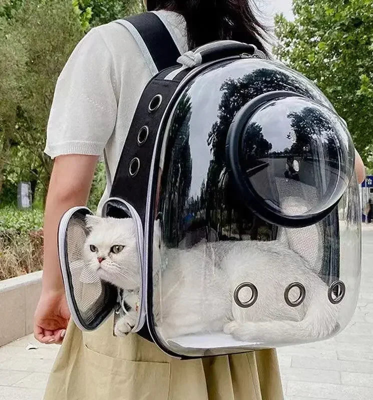 Sac à dos bulle transparent pour chat et petit chien