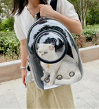 Sac à dos bulle transparent pour chat et petit chien