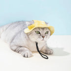 Chien portant une casquette d'été avec trous d'oreilles