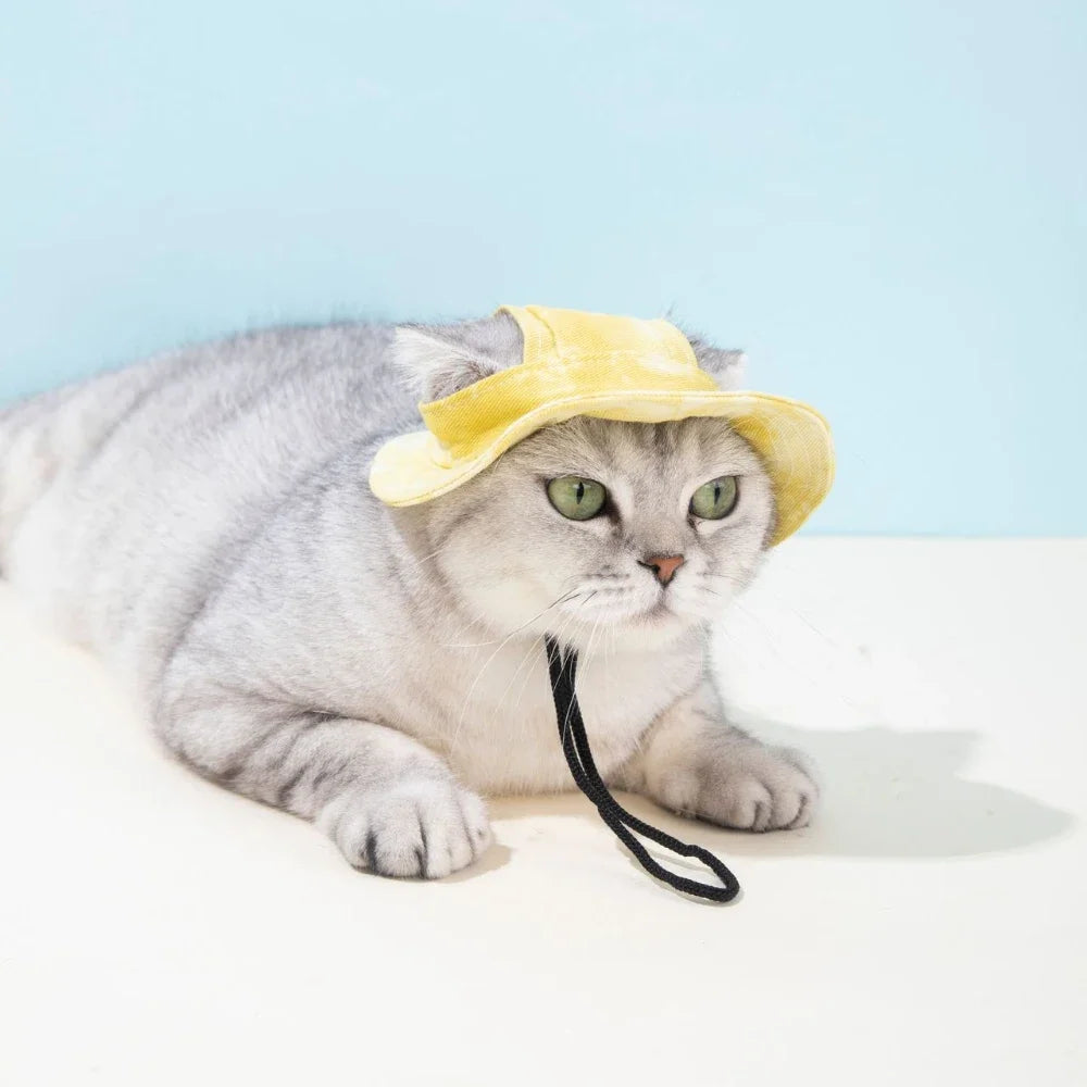 Chien portant une casquette d'été avec trous d'oreilles