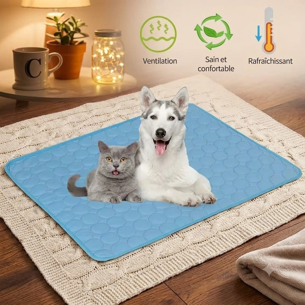 Tapis rafraîchissant pour animaux
