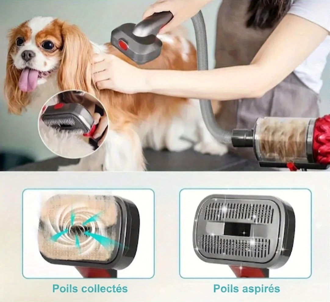 Brosse aspirante clipsée sur un aspirateur Dyson pour brosser un chien