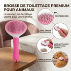 Brosse nettoyante pour poils