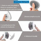 Brosse nettoyante pour poils