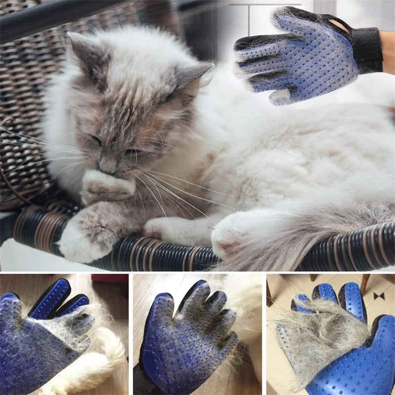 Gant de Toilettage pour chien et chat