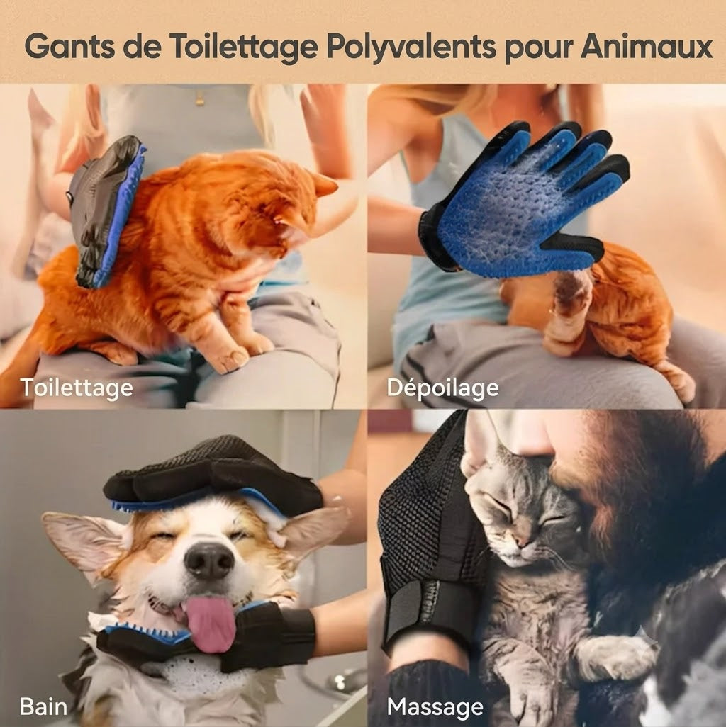 Gant de Toilettage pour chien et chat