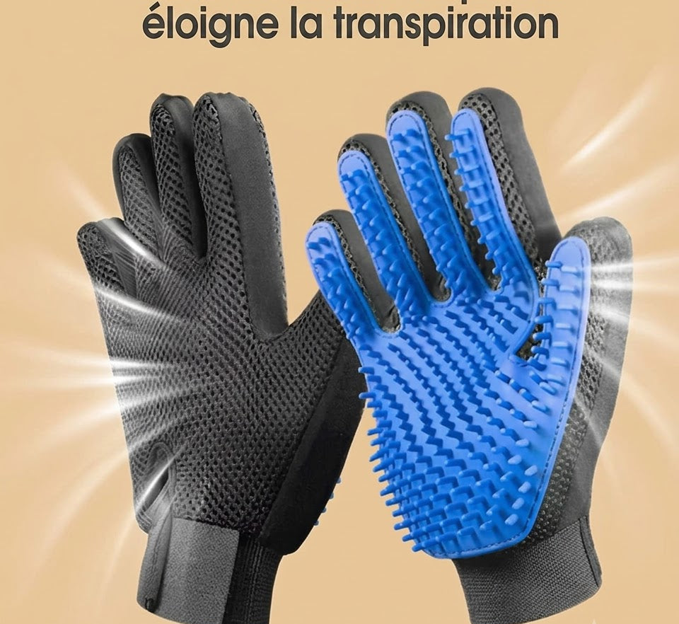 Gant de Toilettage pour chien et chat
