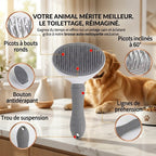 Brosse nettoyante pour poils