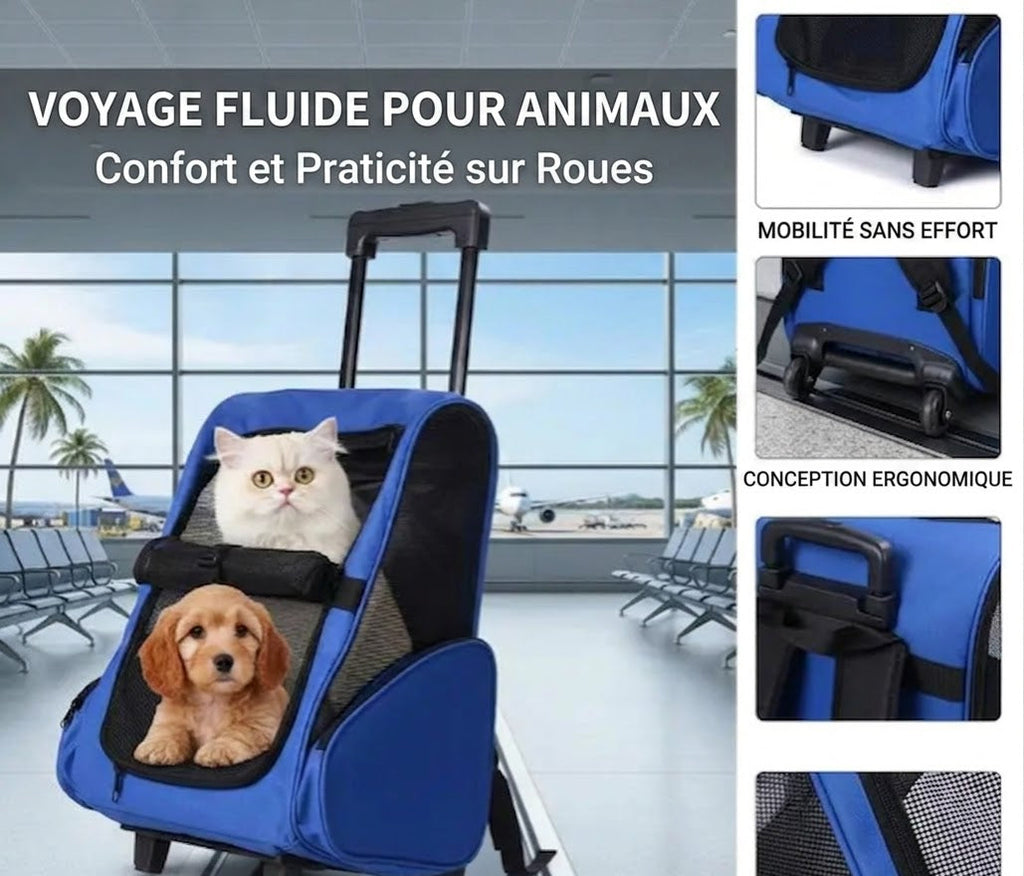 Sac de transport à roulettes avec poignée télescopique