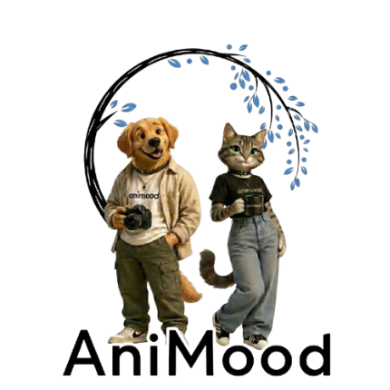 Animood