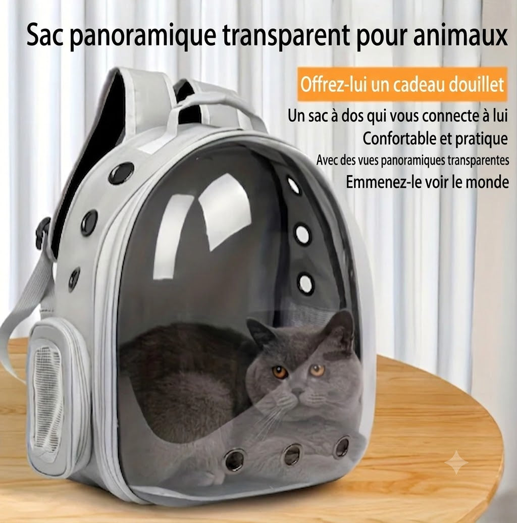 Weltraumkapsel-Rucksack für Katzen und kleine Hunde