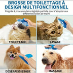 Nettoyeur de pattes