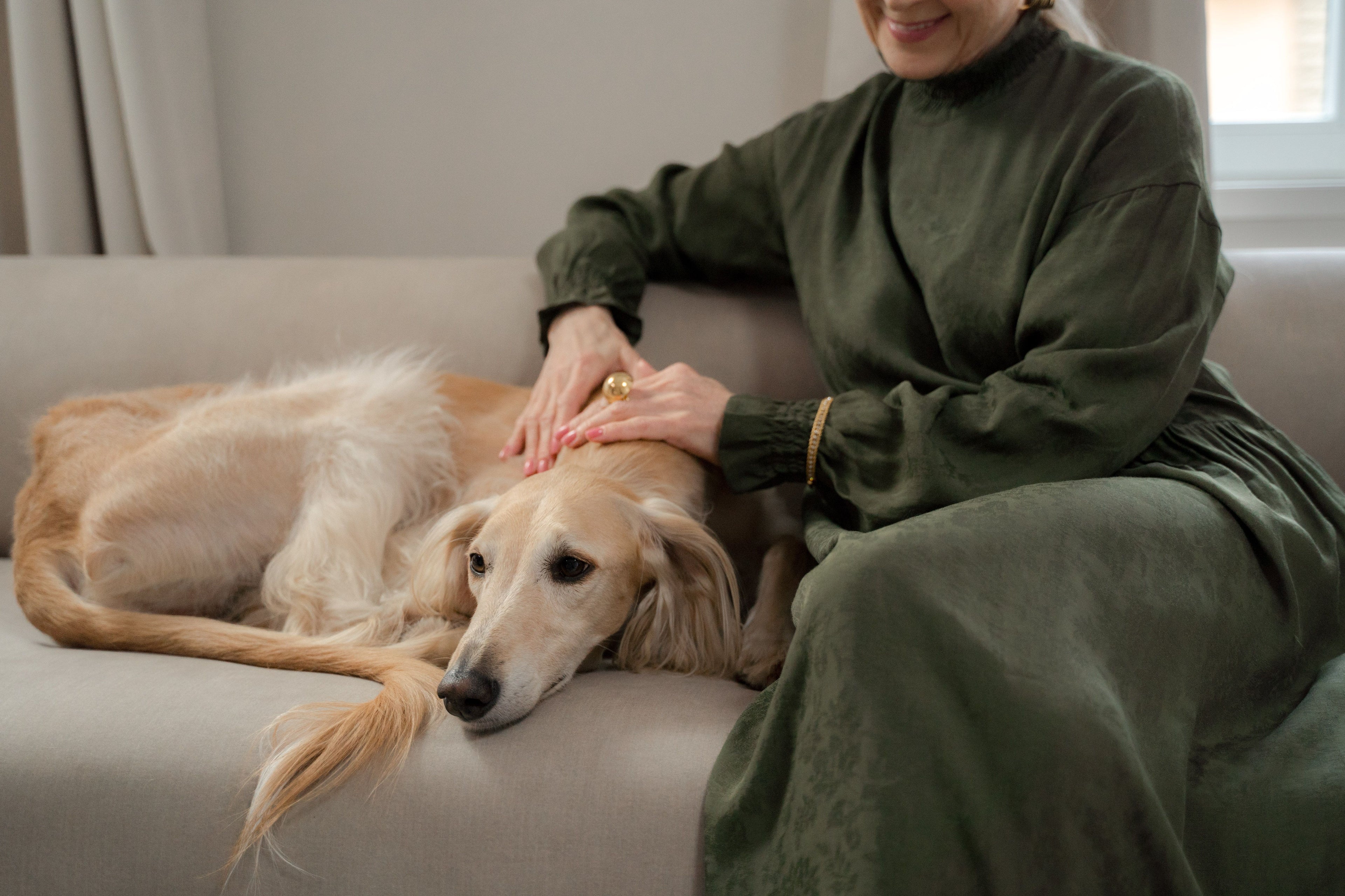 Femme câlinant son chien sur un canapé, moment de complicité à la maison