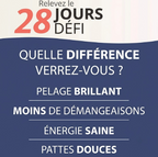 Composition et usage de l'huile de saumon pour chien et chat