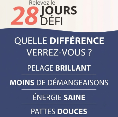 Composition et usage de l'huile de saumon pour chien et chat